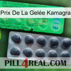 Prix De La Gelée Kamagra new04